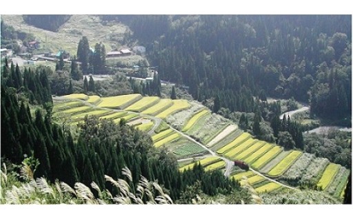 豊かな自然環境の保全及び活用に関する事業