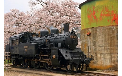 若桜町に文化と学びを届けるプロジェクト