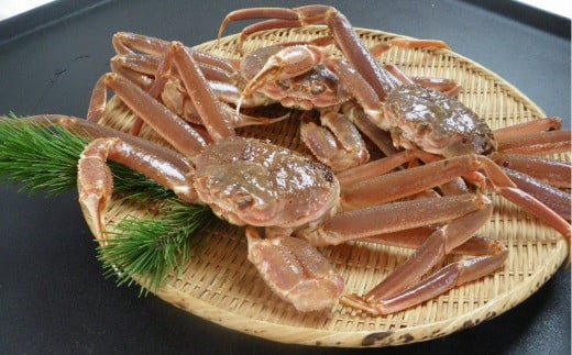88.鳥取県産 訳あり活松葉がに 2~3枚で1.2kg以上(1~4本足落ち)