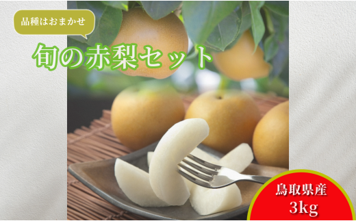 218-W18.【先行予約】【品種はおまかせ】旬の赤梨セット 3kg