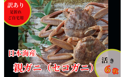 241-WK17.【先行予約】【配送日時指定可】【活き】訳あり足折れご自宅用 日本海産親ガニ(セコガ二)6枚