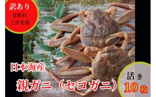 239-WK15．【配送日時指定可】【活き】訳あり足折れご自宅用　日本海産親ガニ（セコガ二）10枚