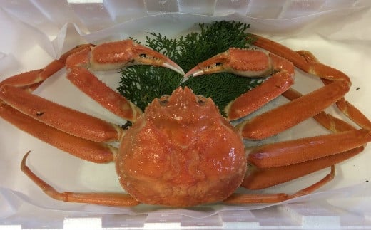 192-2.【魚倉】松葉ガニ ボイル おまかせセット 3kg訳あり