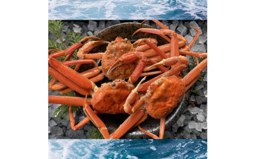 238-WK14．【配送日時指定可】【蒸し】訳あり足折れ松葉ガニ　1kg前後
