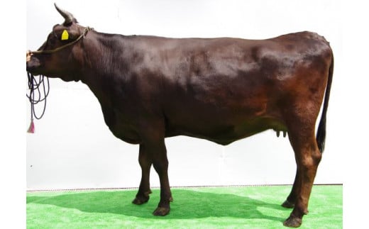 C082鳥取和牛ステーキセット　500g  4種