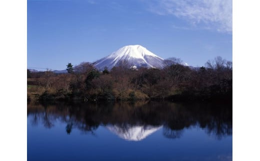 C181大山Gビール&大山ハムセット A