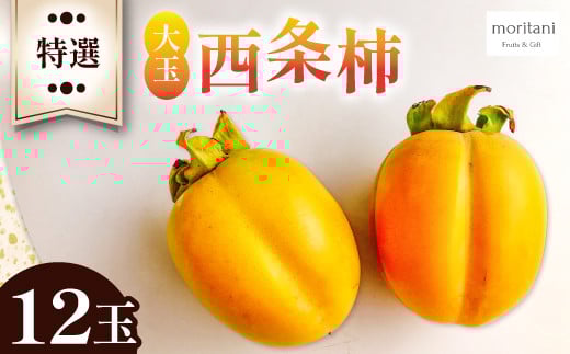 特選 大玉西条柿12玉【先行予約 柿 かき カキ 果物 フルーツ 大玉 西条柿 高糖度 渋抜き処理済 12玉 3L 期間限定 季節限定 先行予約 早期予約 10月下旬~11月上旬発送】