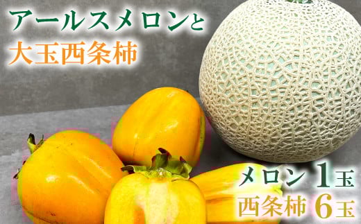 糖度14度以上のアールスメロン秀品1玉と大玉西条柿6玉のセット【メロン 柿 先行予約 期間限定 季節限定 早期予約 果物 フルーツ めろん アールスメロン 秀品 2L 1玉 糖度14度以上 青肉 西条柿 かき 3L 6玉 渋抜き済み 高糖度 大玉サイズ】