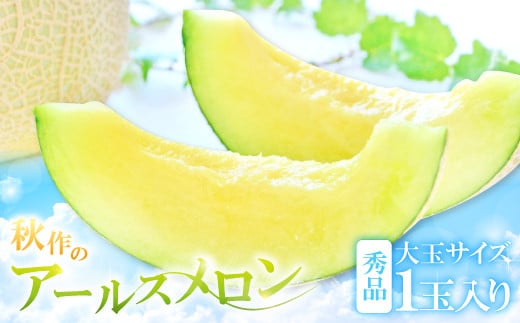 アールスメロン 秀品 大玉1玉【秋作】【メロン 大玉 先行予約 青肉 期間限定 季節限定 早期予約 果物 フルーツ アールスメロン めろん 秀品 1玉 秋作 10月上旬~10月下旬発送】