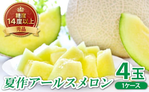 アールスメロン　秀品　1c/s（4玉）【夏作】【メロン 先行予約 果物 くだもの フルーツ めろん アールスメロン 糖度14度以上 青肉 期間限定 季節限定 早期予約】
