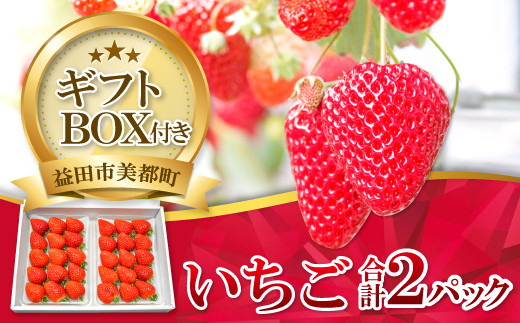 【先行予約】美都いちご(ギフトBOX)【いちご 2月発送 完熟 果物 くだもの フルーツ 苺 イチゴ ストロベリー 美都いちご 平2パック 大粒 ギフト ギフトボックス入り 冷蔵 先行予約 期間限定 季節限定 早期予約】
