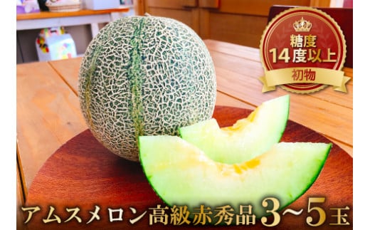 初物 糖度14度以上 アムスメロン 高級赤秀品 1ケース（3～5玉）【メロン 青肉 先行予約 果物 くだもの フルーツ アムスメロン めろん 糖度14度以上 高級 赤秀品 期間限定 季節限定 早期予約】