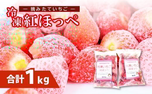益田市産 冷凍いちご(紅ほっぺ)500g×2袋【いちご 甘い 冷凍 1kg ヘタなし 果物 フルーツ 苺 イチゴ あまい 冷凍イチゴ ストロベリー冷凍 紅ほっぺ 500g×2袋 摘みたて】