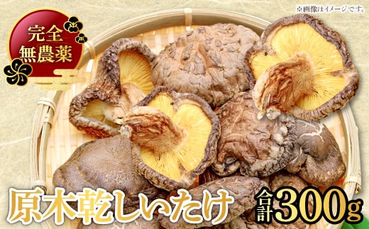 くぬぎ原木 乾しいたけ【50g×6袋 合計300g 野菜 きのこ キノコ 椎茸 しいたけ シイタケ 乾燥椎茸 原木乾燥しいたけ 無農薬】