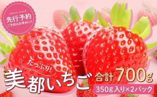 美都いちご(350g×2パック)【いちご 3月発送 先行予約 2パック 果物 フルーツ 苺 イチゴ 美都いちご 紅ほっぺ かおりの 350g×2パック 新鮮 冷蔵 期間限定 季節限定 早期予約】