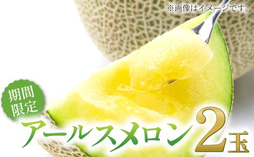 秋に食べたい!アールスメロン 2玉入り【メロン めろん 先行予約 期間限定 季節限定 早期予約 果物 フルーツ マスクメロン アールスメロン 2玉 秋作 青肉 糖度14度以上 10月発送】