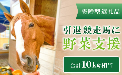 【思いやり型返礼品】引退競走馬に野菜支援【支援 野菜 果物 フルーツ 10kg相当 馬の好物 人参 バナナ さつまいも りんご 思いやり型返礼品 寄贈型 あしなが型 馬 引退競走馬 セカンドキャリア ホースセラピー 乗用馬 サラブレッド ディープインパクト産駒 マンハッタンカフェ産駒 ハービンジャー産駒 シビルウォー産駒】