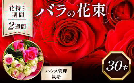 花持ち最高!!バラの花束【薔薇 30本 花束 ばら 花 はな バラ 贈り物 プレゼント 季節限定 期間限定 先行予約 早期予約】