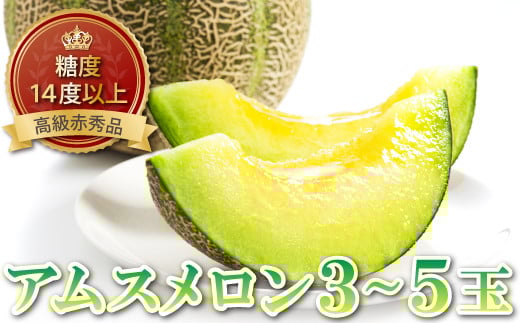 糖度14度以上のアムスメロン 高級赤秀品　1ケース(3～5玉)【メロン 先行予約 糖度14度以上 アムスメロン めろん 高級 赤秀品 1ケース (3～5玉) メロン 早期予約 季節限定 期間限定 果物 くだもの フルーツ 贈答品 お土産 プレゼント 贈り物 ギフト 贈答】