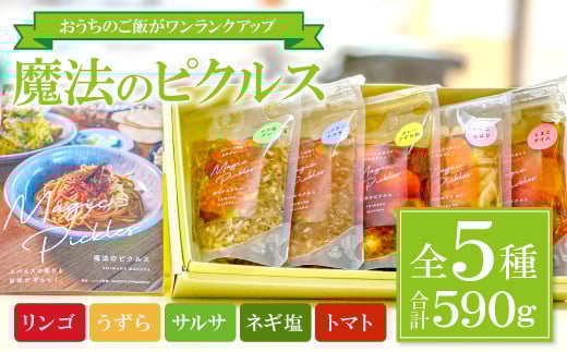 Magic Pickles -魔法のピクルスー【ピクルス 5種 セット 詰合せ リンゴ うずら サルサ ねぎ塩 トマト 万能調味料 漬物 加工食品】