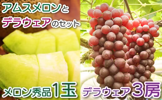 糖度14度以上のアムスメロン秀品1玉とデラウェア3房のセット（ギフトBOX)【先行予約 メロン デラウエア 果物 くだもの フルーツ ブドウ ぶどう 葡萄 3房 アムスメロン 秀品 1玉 期間限定 季節限定 早期予約 セット】
