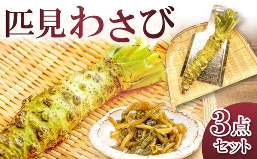 わさびセット【野菜 やさい 山葵 わさび ワサビ 根わさび 2本 粘り 辛み 甘み 手作業 加工食品 わさび漬け 1本 ご飯のお供 酒のつまみ わさびおろし器 ステンレス製 1個 詰め合わせ セット】