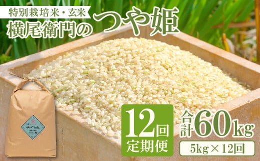 【定期便】横尾衛門のつや姫 玄米5㎏ 12回コース【新米 定期便 定期 12回 米 お米 ブランド米 つや姫 ツヤ姫 玄米 5kg×12回 合計60kg】