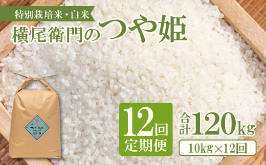 【定期便】横尾衛門のつや姫 白米10㎏ 12回コース【新米 定期便 定期 12回 米 お米 ブランド米 つや姫 ツヤ姫 白米 10kg×12回 合計120kg】