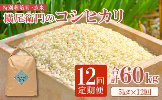 【定期便】横尾衛門のコシヒカリ 玄米5㎏ 12回コース【新米 定期便 定期 12回 米 お米 ブランド米 こしひかり コシヒカリ 玄米 5kg×12回 合計60kg】