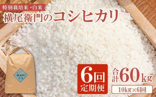 【定期便】横尾衛門のコシヒカリ 白米 10kg×6回コース【 新米 定期便 定期 6回 米 お米 白米 精米 特別栽培米 低農薬 低化学肥料 ブランド米 コシヒカリ 10kg×6回 合計60kg】