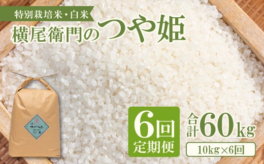 【定期便】横尾衛門のつや姫 白米 10kg×6回コース【新米 定期便 定期 6回 米 お米 白米 精米 特別栽培米 低農薬 低化学肥料 ブランド米 つや姫 10kg×6回 合計60kg】