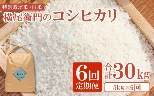【定期便】横尾衛門のコシヒカリ 白米 5kg×6回コース【新米 定期便 定期 6回 米 お米 白米 精米 特別栽培米 低農薬 低化学肥料 ブランド米 コシヒカリ 5kg×6回 合計30kg】