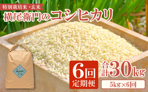 【定期便】横尾衛門のコシヒカリ 玄米 5kg×6回コース【新米 定期便 定期 6回 米 お米 玄米 特別栽培米 低農薬 低化学肥料 ブランド米 コシヒカリ 5kg×6回 合計30kg】