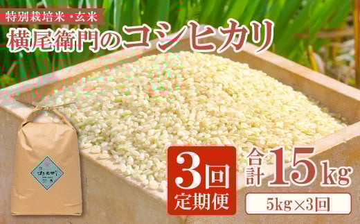 【定期便】横尾衛門のコシヒカリ 玄米 5kg×3回コース【新米 定期便 定期 3回 米 お米 玄米 特別栽培米 低農薬 低化学肥料 ブランド米 コシヒカリ 5kg×3回 合計15kg】