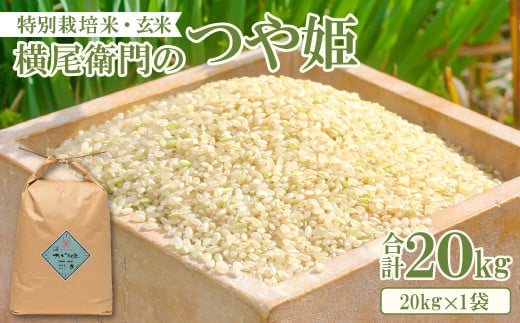 横尾衛門のつや姫 玄米 20kg【新米 先行予約 米 お米 玄米 特別栽培米 低農薬 低化学肥料 ブランド米 つや姫 20kg 1袋】