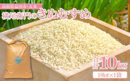 横尾衛門のきぬむすめ 玄米 10kg【新米 先行予約 米 お米 玄米 ブランド米 きぬむすめ 10kg 1袋】