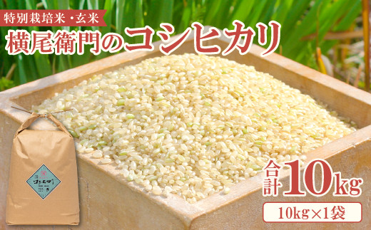 横尾衛門のコシヒカリ 玄米 10kg【新米 米 お米 玄米 特別栽培米 低農薬 低化学肥料 ブランド米 コシヒカリ 10kg 1袋】