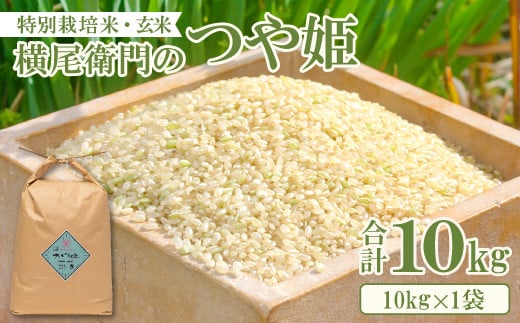 横尾衛門のつや姫 玄米 10kg【新米 先行予約 米 お米 玄米 特別栽培米 低農薬 低化学肥料 ブランド米 つや姫 10kg 1袋】