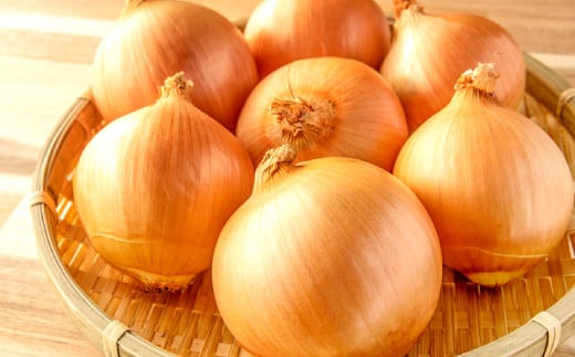 益田産手みがき玉葱 10kg【先行予約 野菜 手磨き玉ねぎ 玉葱 玉ねぎ たまねぎ タマネギ 10kg 高品質 旬 美味しい おいしい 期間限定 季節限定 早期予約】