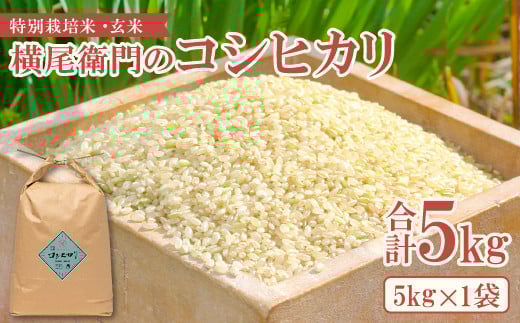 横尾衛門のコシヒカリ 玄米 5kg【新米 米 お米 玄米 特別栽培米 低農薬 低化学肥料 ブランド米 コシヒカリ 5kg 1袋】