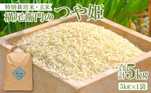 横尾衛門のつや姫 玄米 5kg【新米 先行予約 米 お米 玄米 特別栽培米 低農薬 低化学肥料 ブランド米 つや姫 5kg 1袋】