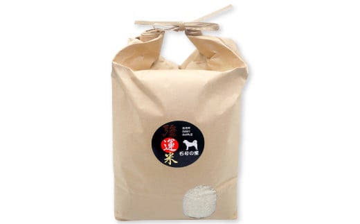 強運米「コシヒカリ」5kg【米 お米 白米 精米 コシヒカリ 5kg 5キロ 1袋 おこめ こめ ごはん 令和7年度産 2025年産】