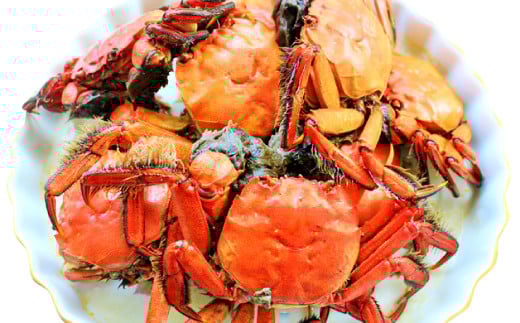 水質日本一常連の清流 高津川 真空ゆでがに 6匹【川がに ツガニ 蟹 もくずがに モクズガニ 冷凍 真空 みそ コク 塩ゆで かに汁 一級河川】