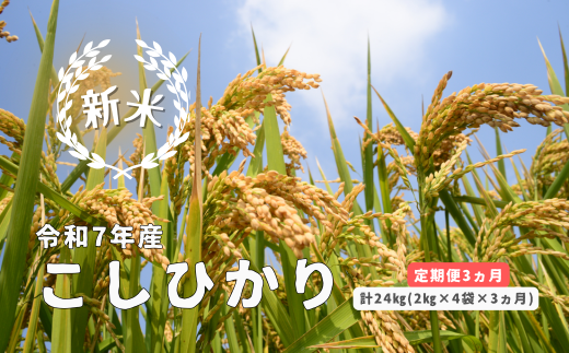 150258【令和7年産/お米定期便/3ヵ月】しまね川本 こしひかり 2kg×4袋 (計24kg)