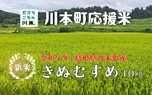 150255【川本町産】川本町応援米|きぬむすめ10kg