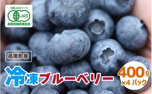 【先行予約】有機 冷凍ブルーベリー1.6kg(400g×4袋)7月中旬よりお届け