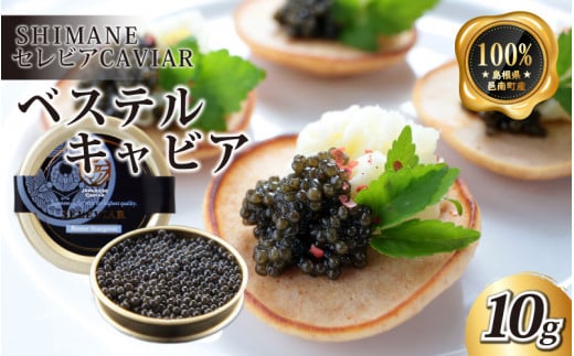 キャビア「ベステル」10g