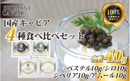 キャビア4種食べ比べセット計40g(4種各10g)
