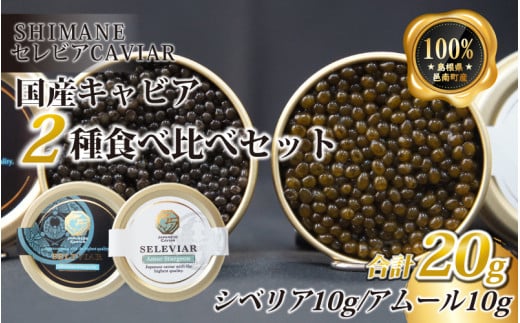 キャビア2種セット計20g(シベリア10g・アムール10g)