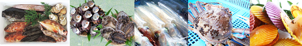 島根県西ノ島町